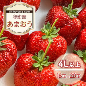 yӂ邳Ɣ[Łz qsY ܂ 4Lȏ 16ʁ`20 C`S  ʕ fU[g Shibayama Farm zsF @͂F2025N12{`2026N3{