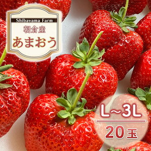 yӂ邳Ɣ[Łz qsY ܂ L`3L 20 C`S  ʕ fU[g Shibayama Farm zsF @͂F2025N12{`2026N3{