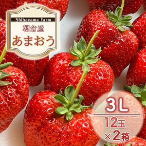 yӂ邳Ɣ[Łz qsY ܂ 3L 12×2 C`S  ʕ fU[g Shibayama Farm zsF @͂F2025N12{`2026N3{