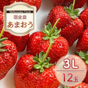 yӂ邳Ɣ[Łz qsY ܂ 3L 12 C`S  ʕ fU[g Shibayama Farm zsF @͂F2025N12{`2026N3{