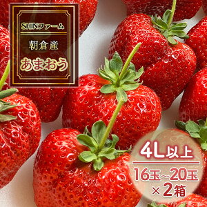 yӂ邳Ɣ[Łz qsY ܂ 4Lȏ 16ʁ`20×2 C`S  ʕ fU[g SHINt@[ zsF @͂F2025N12{`2026N3{