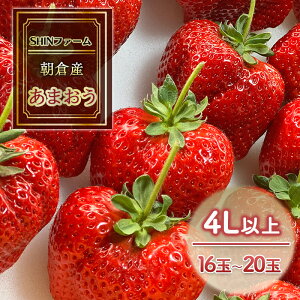 yӂ邳Ɣ[Łz qsY ܂ 4Lȏ 16ʁ`20 C`S  ʕ fU[g SHINt@[ zsF @͂F2025N12{`2026N3{