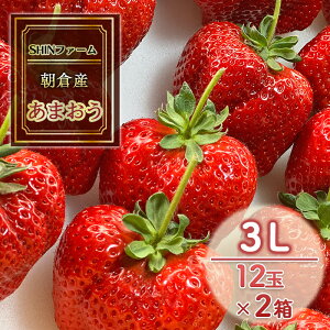 yӂ邳Ɣ[Łz qsY ܂ 3L 12×2 C`S  ʕ fU[g SHINt@[ zsF @͂F2025N12{`2026N3{