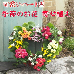 yӂ邳Ɣ[Łz[X G߂̂ 񂹐A (n[g^[X)   A K[f