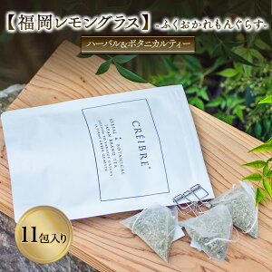 yӂ邳Ɣ[ŁzeB[ n[u OX - ӂ񂮂炷 - fukuoka lemongrass - 11 eB[obO