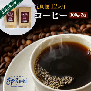 【ふるさと納税】定期便 12ヶ月 コーヒー 店長おまかせコーヒー 100g×2(粉)