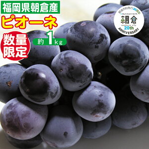yӂ邳Ɣ[Łzyqs{s20NLOz 2026Ns\@ sI[l 1`3[ 1kg ʌ 䂤ʎ zsF@͂F2026N8{`10{
