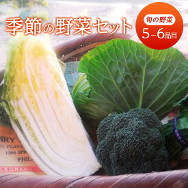 【ふるさと納税】野菜 季節の野菜セット 季節 冬 旬 野菜セット 福岡県 朝倉市
