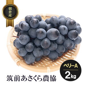 yӂ邳Ɣ[ŁzqY x[A 2kg t[c ʕ  }O_ \F2026N7{`8{ zsFkCAA@͂F2026N7{`8{