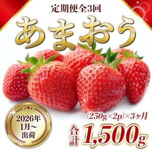 yӂ邳Ɣ[Łz 3 Y ܂ v1500g s\ 2026N1菇  C`S  ʕ 3 zsF@͂F2026N110`331