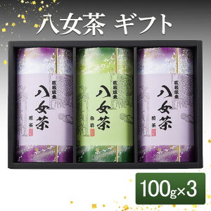 yӂ邳Ɣ[Łz Mtg 100g×3 SGY-40   Β
