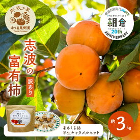 【ふるさと納税】【朝倉市制施行20周年記念企画】 訳あり 富有柿 約3kg＆柿の半生キャラメル セット ※配送不可：離島　お届け：2025年11月下旬～2026年1月10日まで