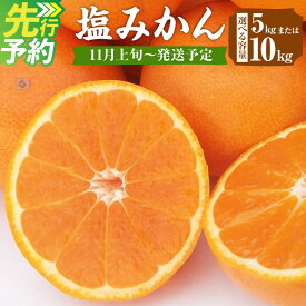 【ふるさと納税】塩みかん 5kg または 10kg 高糖度 濃厚 みかん ミカン 蜜柑 柑橘 フルーツ 果物 果実 国産 福岡県産 山川産 みやま市 九州 予約 送料無料 A157 A158 【2026年11月上旬～12月下旬発送予定】