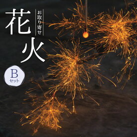 【ふるさと納税】B30 お取り寄せ花火 B セット 特別販売花火入り 540×150×155mm 簡易紙バケツ 着火剤付き 花火 線香花火 国産 キャンプ お中元 プレゼント 職人技 筒井時正玩具花火製造所 福岡県 みやま市 送料無料