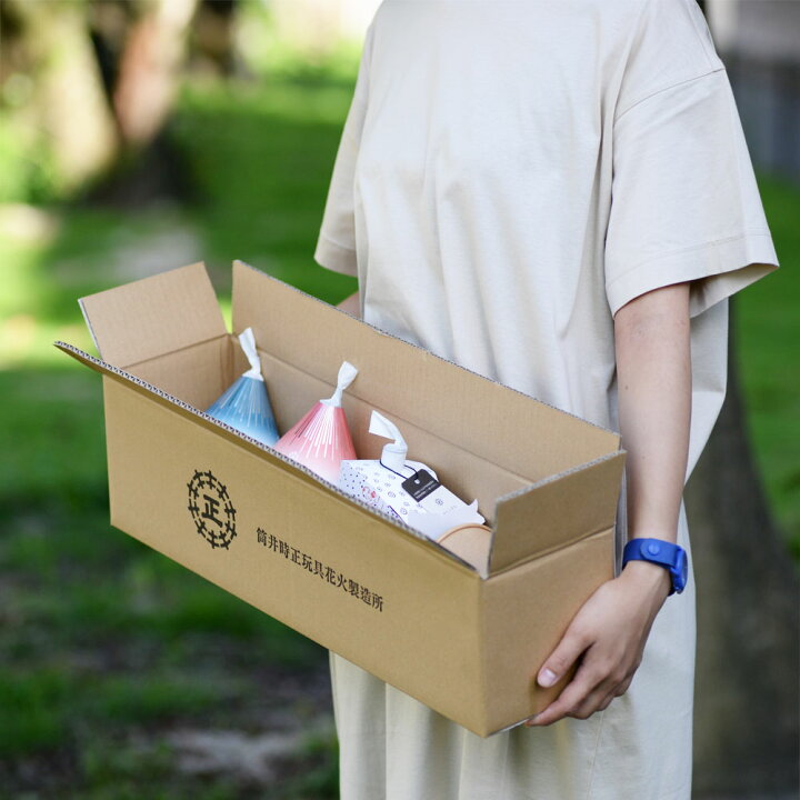 ふるさと納税 お取り寄せ花火 花火 着火剤付き 簡易紙バケツ セット 特別販売花火入り C 540 150 155mm 線香花火