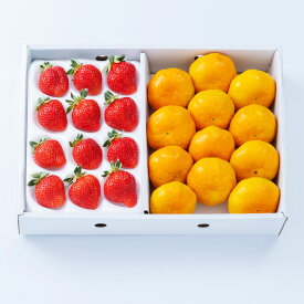 【ふるさと納税】A331 福岡県産あまおう（12～15粒）＆山川みかん（9～12玉）詰合せ いちご イチゴ 苺 ミカン 蜜柑 くだもの 果物 果実 フルーツ 詰め合わせ セット 冷蔵 福岡県産 国産 九州 福岡県 みやま市 送料無料 【2025年12月中順次発送予定】