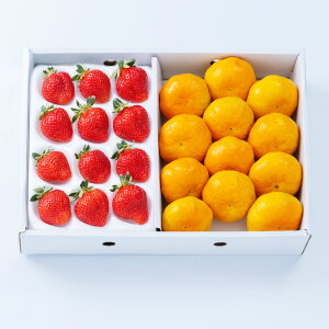 yӂ邳Ɣ[ŁzA331 Y܂i12`15jR݂i9`12ʁjl  C`S  ~J   ʕ ʎ t[c lߍ킹 Zbg ① Y Y B 