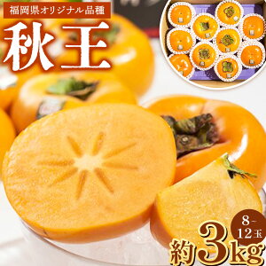 yӂ邳Ɣ[ŁzIׂeʁ Yuh` H 3kg ^ 1.5kg i8-12ʁ^4-6ʁj  BY Y s\ ʕ H̉l IWiuh ` Ê` x Â Ȃ 