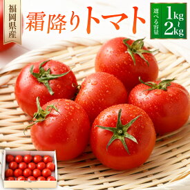 【ふるさと納税】＜選べる容量＞ A274 A275 霜降りトマト 1箱（12玉～23玉 1kg以上） または 2箱（12玉～23玉 1kg以上） トマト とまと 高糖度 箱 野菜 やさい 九州 国産 福岡県 みやま市 送料無料 【2026年2月下旬～5月下旬まで順次発送予定】