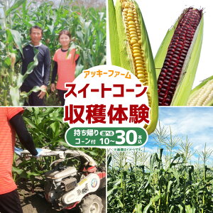 yӂ邳Ɣ[ŁzIׂ{AbL[t@[ XC[gR[ň ApXC[gR[ 10{ / 20{ / 30{ Ƃ낱 gERV  ₳ _앨 _ ̌ `P