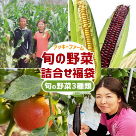 【ふるさと納税】A322 アッキーファームの旬の野菜詰合せ福袋（野菜3種） 詰め合わせ セット 季節 旬 お楽しみ 野菜 やさい なす トマト ミニトマト ピーマン ブロッコリー とうもろこし レタス カリフラワー 冷蔵 福岡県産 国産 福岡県 みやま市 送料無料
