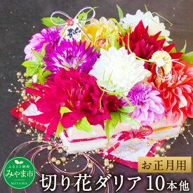 楽天市場 ダリア 切花の通販