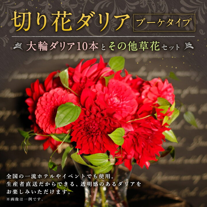 楽天市場 ふるさと納税 切り花 ダリア ブーケタイプ ブーケ 産地直送 生花 切花 花束 花 フラワーアレンジ アレンジメント 九州産 国産 送料無料 21年11月1日 22年4月30日の間に順次発送予定 福岡県みやま市