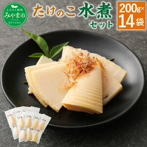 国産 たけのこの人気商品 通販 価格比較 価格 Com