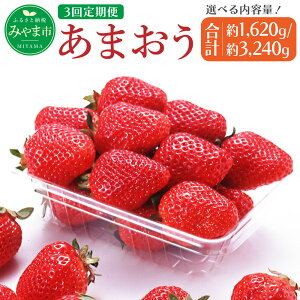 yӂ邳Ɣ[Łzy3ցz Iׂeʁ ܂ v1,620g ܂ 3,240g 270g×2pbN ܂ 4pbN ×3 C`S   ʕ  t[c 1kgȏ  Y 