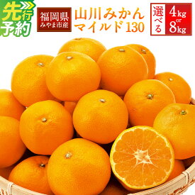 【ふるさと納税】農林水産大臣賞受賞 山川みかん マイルド130 4kg または 8kg みかん ミカン 蜜柑 高糖度 甘い フルーツ 果物 くだもの 国産 福岡県産 みやま市 数量限定 送料無料 【2026年11月上旬～12月上旬迄順次発送予定】 A2 B35
