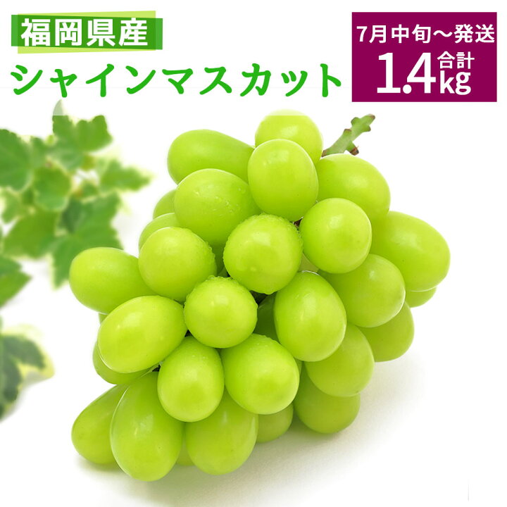楽天市場 ふるさと納税 令和5年度産 シャインマスカット 1房 2房 4パック 合計1 4kg 23年7月中旬発送 先行予約 予約販売 福岡県産 国産 九州産 ぶどう 果物 フルーツ おすすめ 糖度 甘み 酸味 送料無料 福岡県みやま市 楽天市場 ふるさと納税 令和5年度産 シャインマスカット 1房 2房 4パック 合計1 4kg 23年7月中旬発送 先行予約 予約販売 福岡県産 国産 九州産 ぶどう 果物 フルーツ おすすめ 糖度 甘み 酸味 送料無料 福岡県みやま市