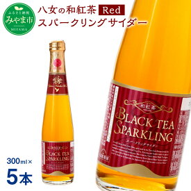 【ふるさと納税】A41 八女の和紅茶スパークリングサイダー Red 300ml×5本 サイダー 和紅茶 紅茶 八女茶 ノンアルコール ジュース 福岡県 八女市産 送料無料
