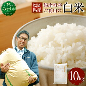 楽天市場 ふるさと納税 米 10kgの通販