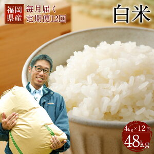yӂ邳Ɣ[Łzy12ցz͂ۑ܁u݂ܕāv 4kg×12 v48kg    Y BY ɂ܂     yVX[p[SALE 9J