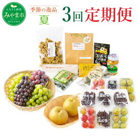 【ふるさと納税】C2 【3回定期便】季節の逸品 夏 計3回 フルーツ 野菜 葡萄 ぶどう デラウェア ピオーネ スモモ すもも 梨 ブルーベリー カレー ジャム 旬 セット 詰め合わせ 福岡県産 九州産 定期発送 定期便 送料無料
