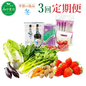 【ふるさと納税】C4 【3回定期便】季節の逸品 冬 計3回 フルーツ 野菜 セロリ 鍋 トマト 海苔 のり 地酒 酒 天ぷら 旬 セット 詰め合わせ 福岡県産 九州産 定期発送 定期便 送料無料