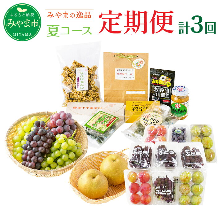 楽天市場 ふるさと納税 定期便 夏コース みやま季節の逸品コース 3ヵ月 計3回 フルーツ 野菜 葡萄 ぶどう デラウェア ピオーネ スモモ すもも 梨 ブルーベリー カレー ジャム 旬 セット 詰め合わせ 福岡県産 九州産 定期発送 定期便 送料無料 福岡県みやま市