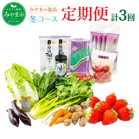 【ふるさと納税】C4 【定期便 冬コース】みやま季節の逸品コース 3ヵ月 計3回 フルーツ 野菜 セロリ 鍋 トマト 海苔 のり 地酒 酒 天ぷら 旬 セット 詰め合わせ 福岡県産 九州産 定期発送 定期便 送料無料