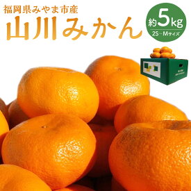 【ふるさと納税】山川みかん 約5kg（2S～Mサイズ）みかん ミカン 蜜柑 高糖度 フルーツ 果物 くだもの 常温 特産品 福岡県 みやま市 送料無料【2025年12月上旬～2026年1月下旬まで順次発送予定】