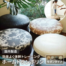 【ふるさと納税】ホームトランポリン モダンタイプ 糸島市 / 未来航路 クッション インテリア [AAB010] 100000円 10万円