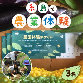 【ふるさと納税】糸島で農業体験(3名) 栽培期間中農薬不使用 無化学肥料 無除草剤の畑で野菜のお世話体験！ [AAL003] 27000円 2万7千円