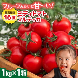 yӂ邳Ɣ[Łzys\zteBJ 1kg y2025N10{ȍ~z s / 킼_ [AAM005] g}g ʃg}g ~fBg}g 14000~