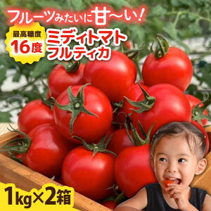 yӂ邳Ɣ[Łzys\zteBJ 2kg (1kg×2) y2025N10{ȍ~zs / 킼_[AAM006] g}g