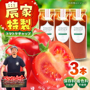 yӂ邳Ɣ[Łz̃g}g_Ƃ Yg}gP`bv 3{Zbg s / 킼_ P`bv g}g[AAM007] 퉷 14000 14000~