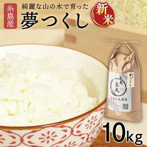 yӂ邳Ɣ[Łzyߘa7NYVāzY  10kg s / ۔_ ( J )y Ƃ܂z[AAZ005] 퉷   28000~ 28~