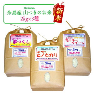 yӂ邳Ɣ[ŁzgYER _ E2kg × 3i i qmqJ A  A ~L[NC[ jZbgstyԕĎYZ^[z [ABB010] // 퉷