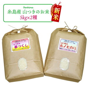 yӂ邳Ɣ[Łzys\zyVāzgY   E 2i Zbg y2025N10{ȍ~zs / ԕĎYZ^[ [ABB011]  Hה    퉷