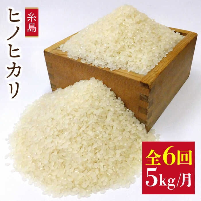 【ふるさと納税】【定期便】農薬不使用栽培のヒノヒカリ5kg×６回（毎月１回）コースABB012