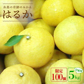 【ふるさと納税】【先行予約】爽やかに甘い！糸島産「はるか」 自家用約5kg【2026年3月以降順次発送】 二丈赤米産直センター [ABB023] 常温 10000円 1万円