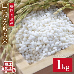 yӂ邳Ɣ[ŁzgYE R   1kg styԕĎYZ^[z [ABB027]     1kg 4000~ 4~ 퉷